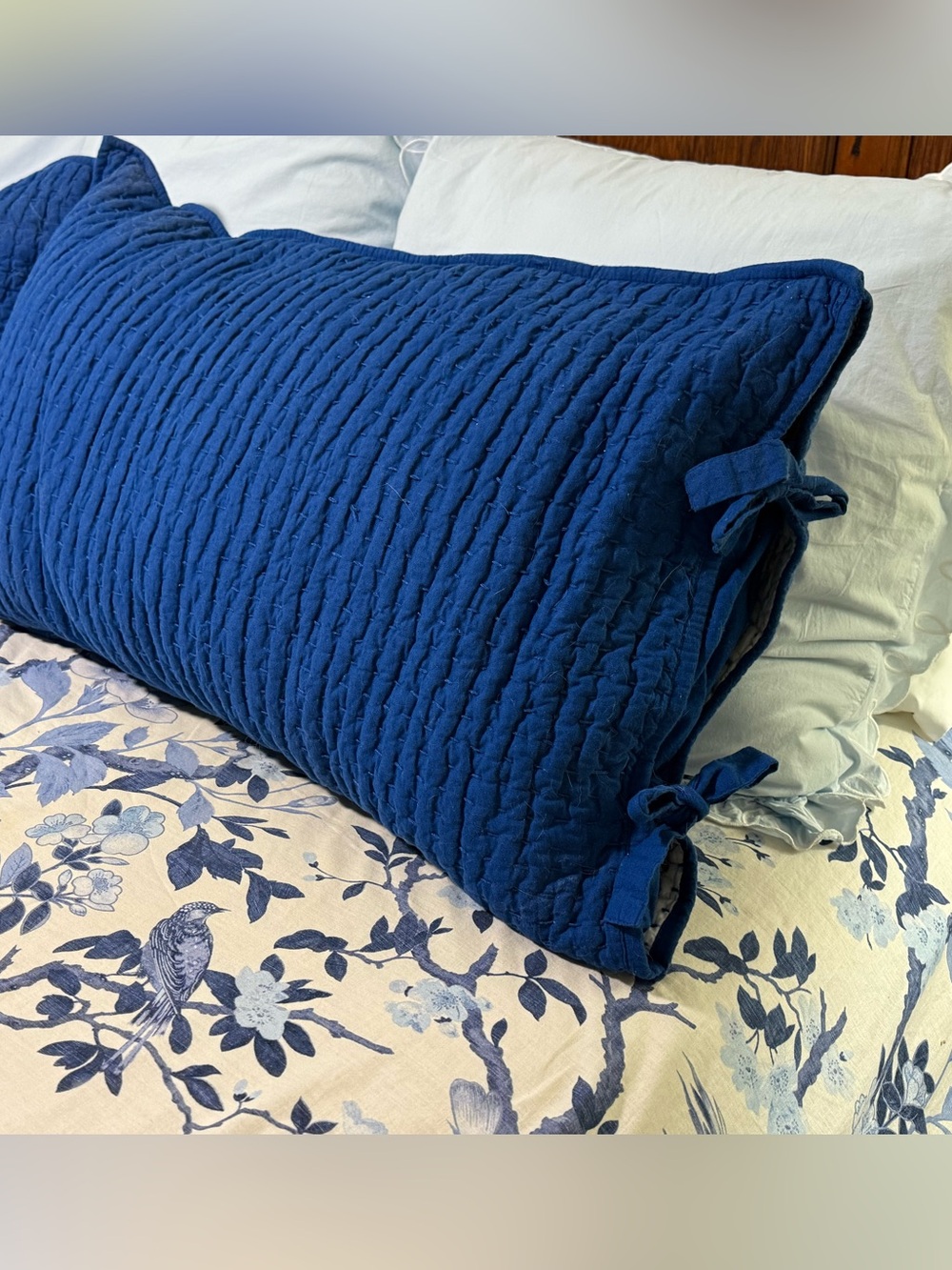 Pair of 2 Pottery Barn Pickstitch Cotton Linen Capri Blue King Shams